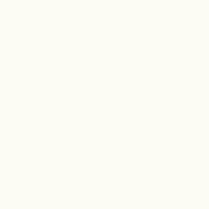 Premium White Worktop